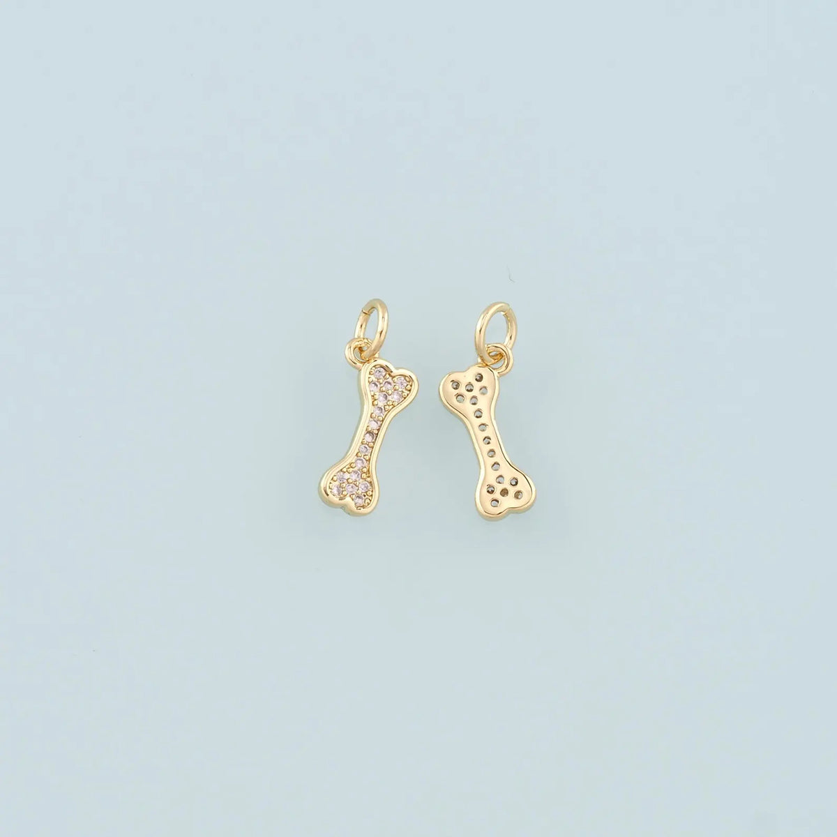 BONE CHARM