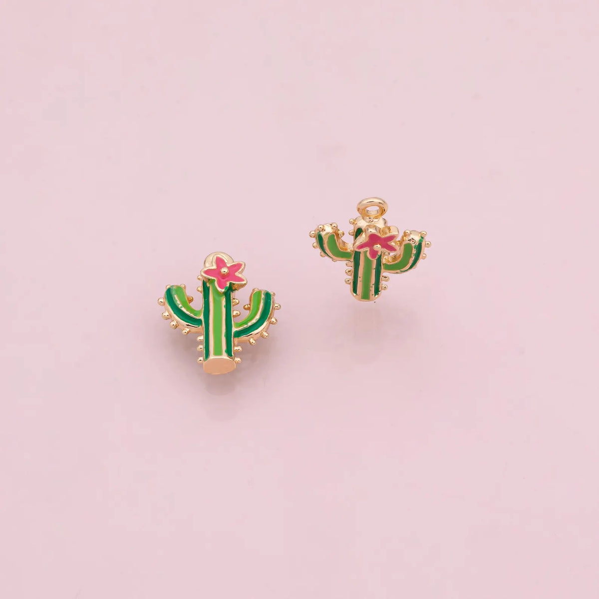 CACTUS CHARM