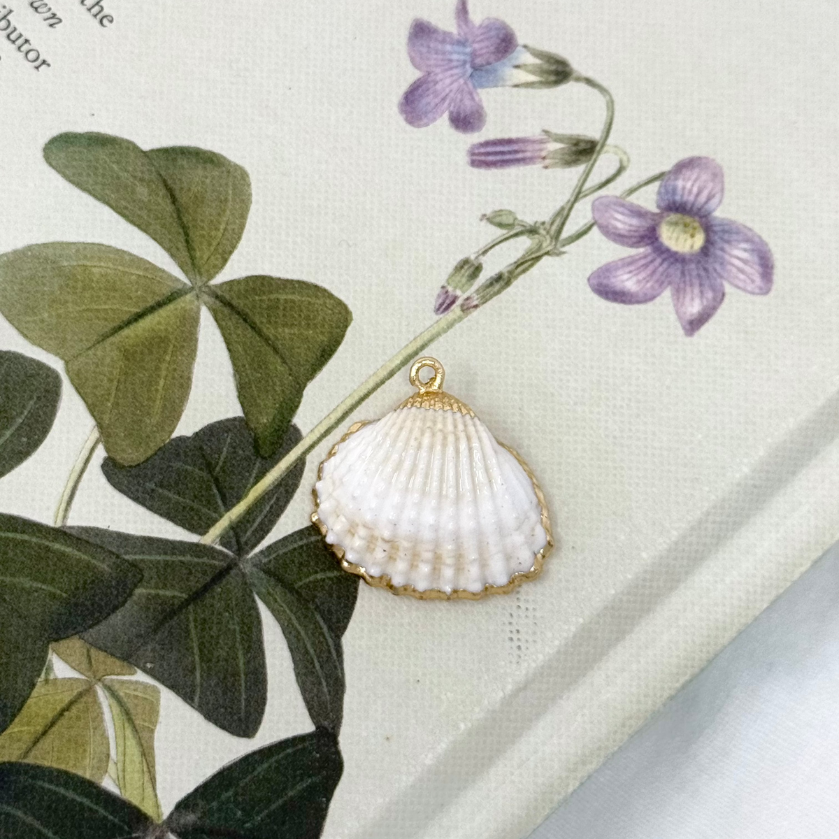 REAL SEA SHELL CHARM